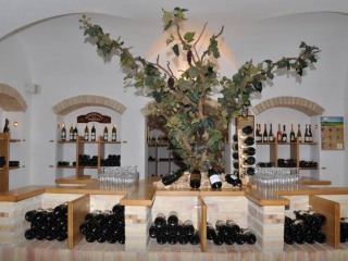 Zámecká galerie vín